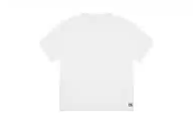 Vision Street Wear logoT