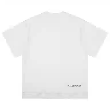 PILOTDRAGON PDT