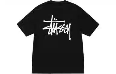 Stussy Ribbed Lettering T-Shirt