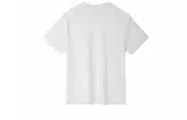 ZNTN T
