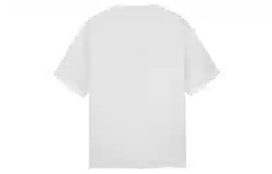 ICONS Lab T