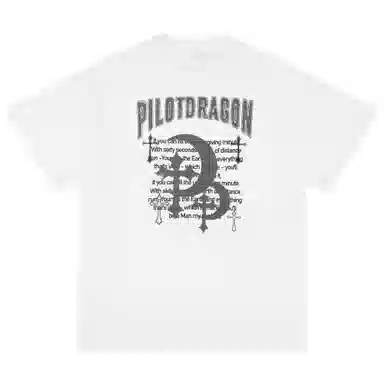 PILOTDRAGON PDlogoT