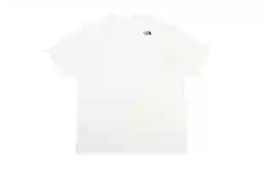 THE NORTH FACE SS24 T