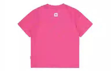 PCLP T
