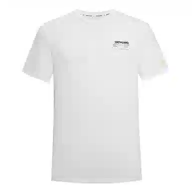 NORTHLAND PROFESSIONAL T