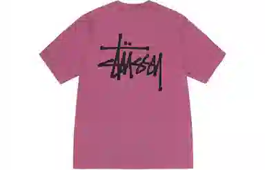 Stussy Ribbed Lettering T-Shirt