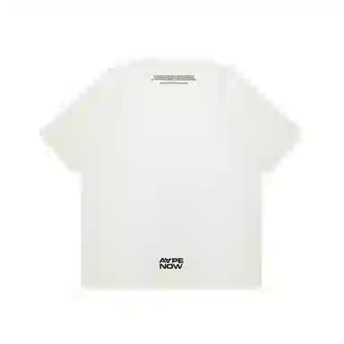 Aape T
