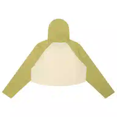 Aape T