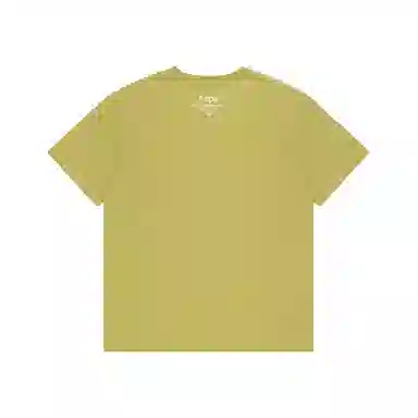 Aape T