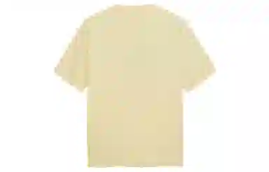 ICONS Lab T