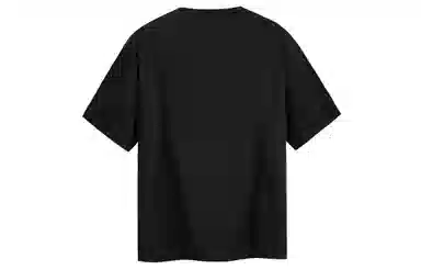 ICONS Lab T