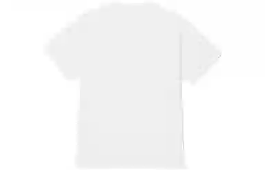 Champion SS24T
