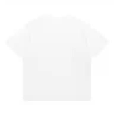 s.k. manor hill logoT