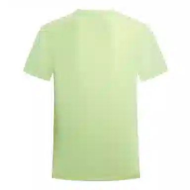 NORTHLAND PROFESSIONAL T