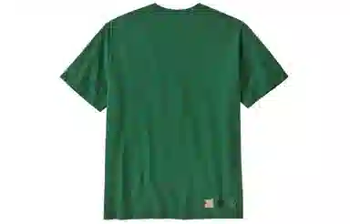 patagonia T