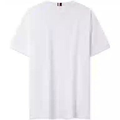 Tommy Hilfiger logoT