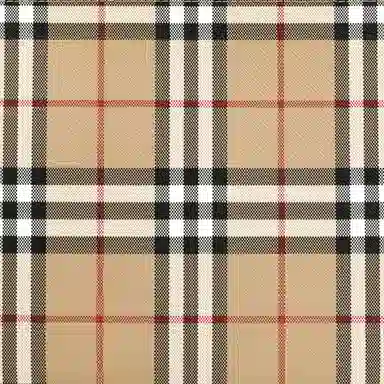 Burberry Vintage