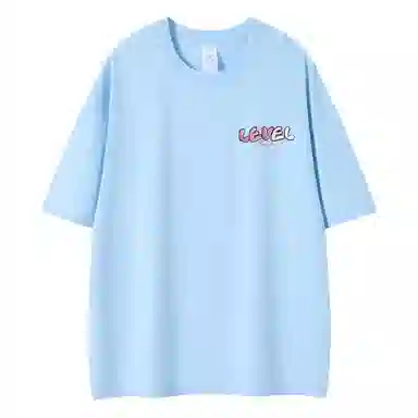 LEVEL T