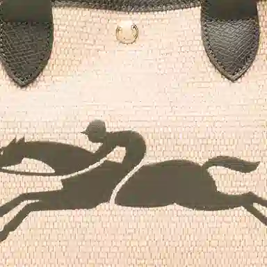 Longchamp Le Panier Pliage