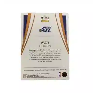 PANINI 2020-21 Immteamlogo PATCH 34 logo