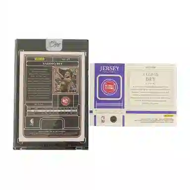 PANINI 2022-23 One 0425 2299