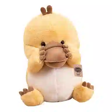 21cm30cm45cm60cm80cm