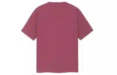 ICONS Lab T