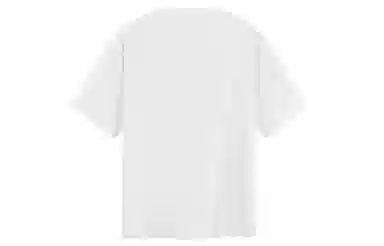 ICONS Lab T