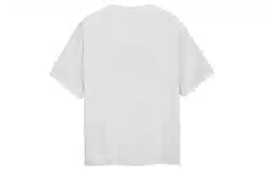 ICONS Lab T