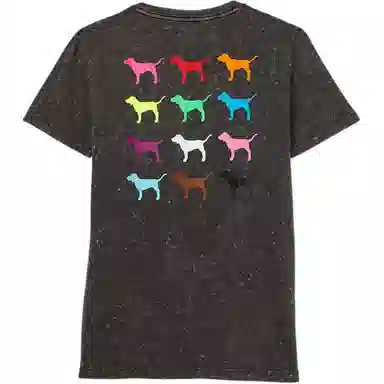 Victoria's Secret PINK T Logo