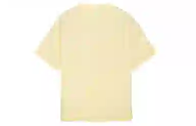 ICONS Lab T