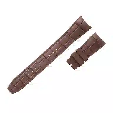 Vagenari IWC46mm IW500916