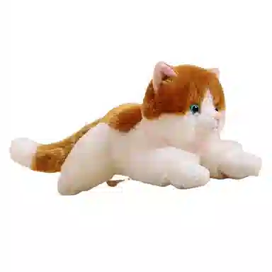 48CM