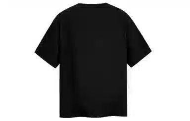 ICONS Lab T