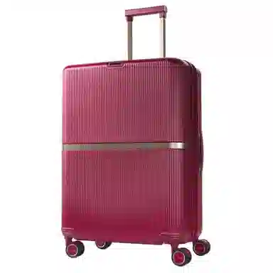 SAMSONITE Minter PC 25