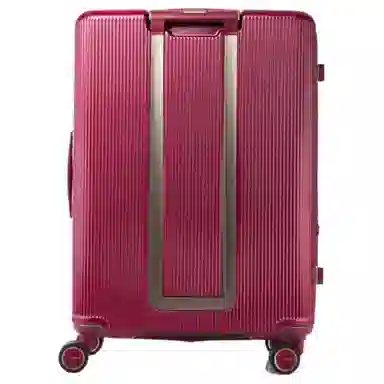 SAMSONITE Minter PC 25