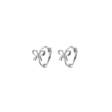 CARAT'SDIARYS925 520