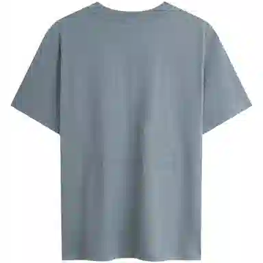 CALVIN KLEIN T