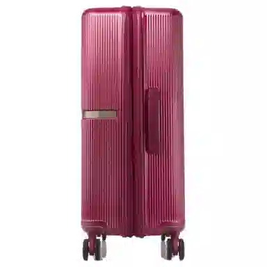 SAMSONITE Minter PC 25