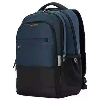 Samsonite Backpack