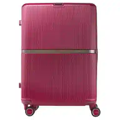 SAMSONITE Minter PC 25