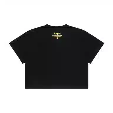 Aape T