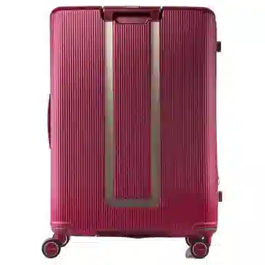 SAMSONITE Minter PC 28
