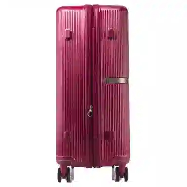 SAMSONITE Minter PC 25