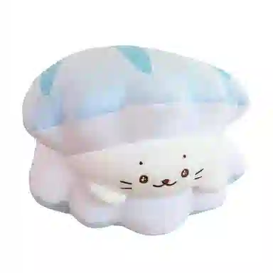 25cm30cm