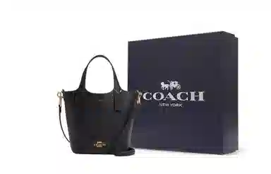 COACH Hanna 17