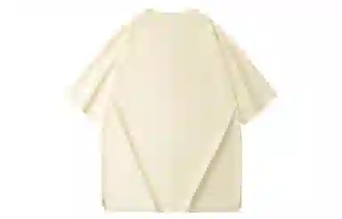ZNTN T