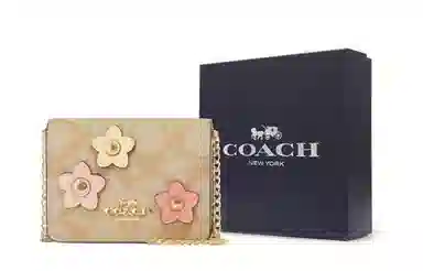 COACH Chain 10