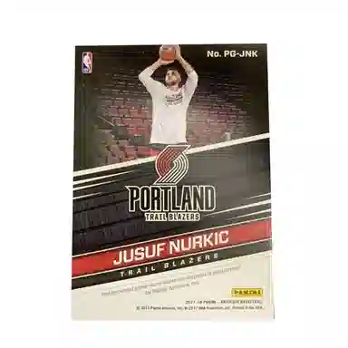 PANINI 2017-18 088 199