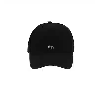 SLEEPYWALK Cute Fox Embroidered Cap